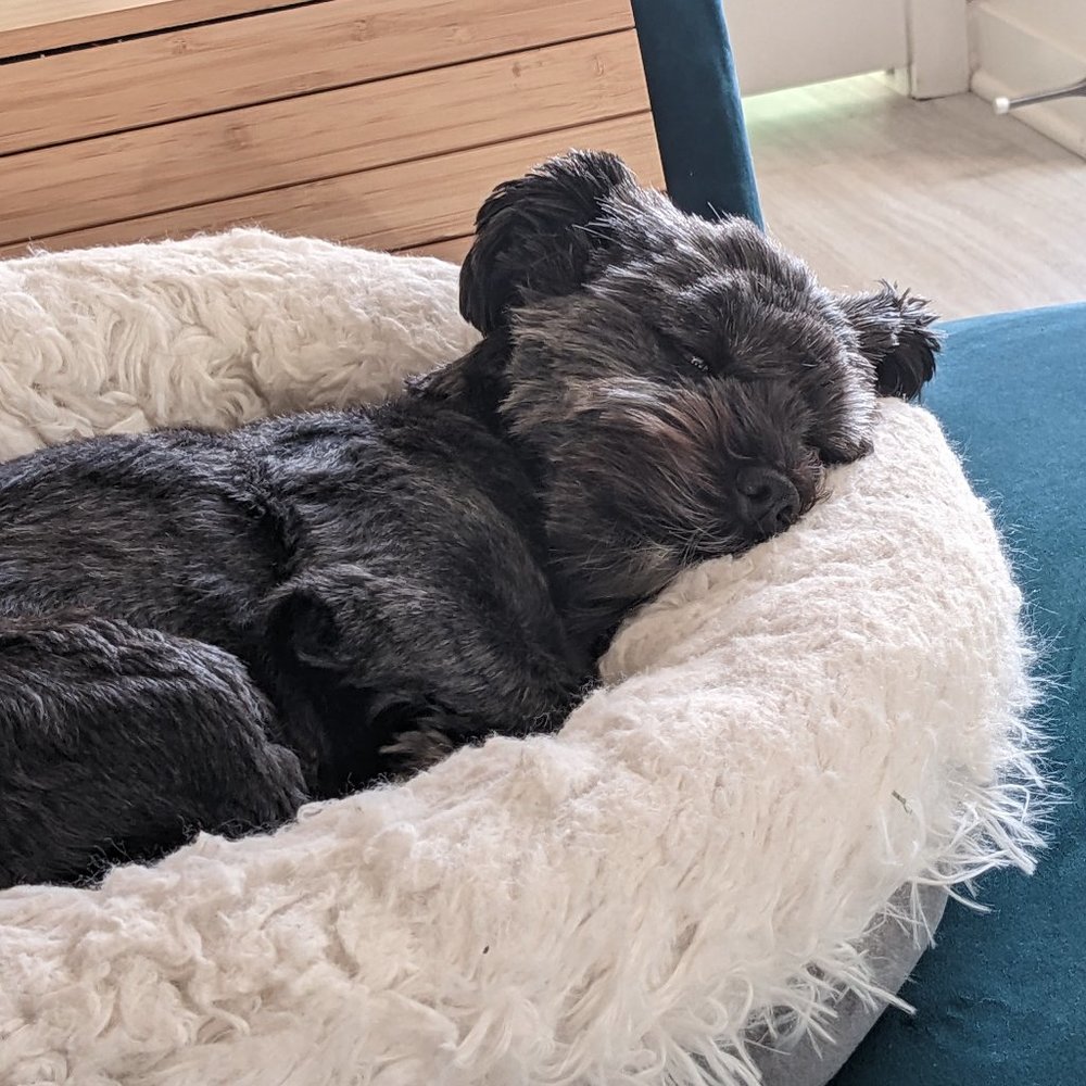 Meet your Posher, Kelly